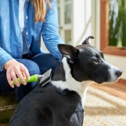 Frisco Soft Slicker Dog Brush, One Size 8 Frisco Soft Slicker Dog Brush, One Size -Pet Supplies Discount Store 206869 PT4. AC SS1800 V1680186388