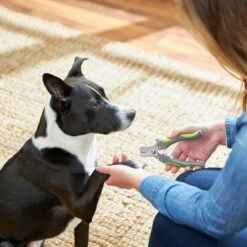 Frisco Dog Nail Trimmer 8 Frisco Dog Nail Trimmer -Pet Supplies Discount Store 206877 PT4. AC SS1800 V1680186157