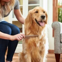 Frisco Metal Dog & Cat Comb -Pet Supplies Discount Store 206882 PT6. AC SS1800 V1680186160