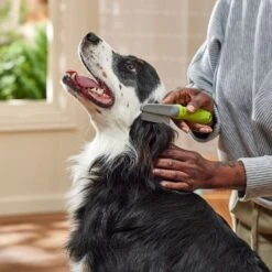 Frisco Double-Row Flea Comb For Cats & Dogs -Pet Supplies Discount Store 206886 PT3. AC SS1800 V1680186388