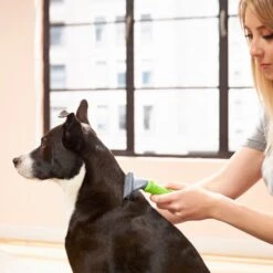 Frisco Deshedding Dog & Cat Brush -Pet Supplies Discount Store 206892 PT6. AC SS1800 V1680186216