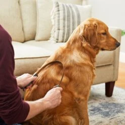 Frisco Shedding Blade Dog Brush, One Size -Pet Supplies Discount Store 206895 PT6. AC SS1800 V1680186099