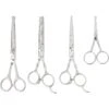 Frisco Shears Kit For Cats And Dogs -Pet Supplies Discount Store 206903 MAIN. AC SS1800 V1601659859