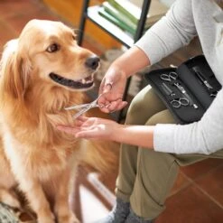 Frisco Shears Kit For Cats And Dogs -Pet Supplies Discount Store 206903 PT4. AC SS1800 V1604009923