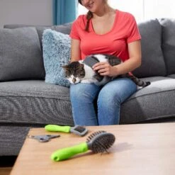 Frisco Beginner Grooming Kit For Dogs And Cats -Pet Supplies Discount Store 206909 PT6. AC SS1800 V1680186162