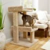 Frisco 32-in Real Carpet Wooden Cat Tree With Toy -Pet Supplies Discount Store 208920 MAIN. AC SS1800 V1602682003
