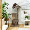 Frisco 50-in Real Carpet Wooden Cat Tree -Pet Supplies Discount Store 208930 MAIN. AC SS1800 V1602682020