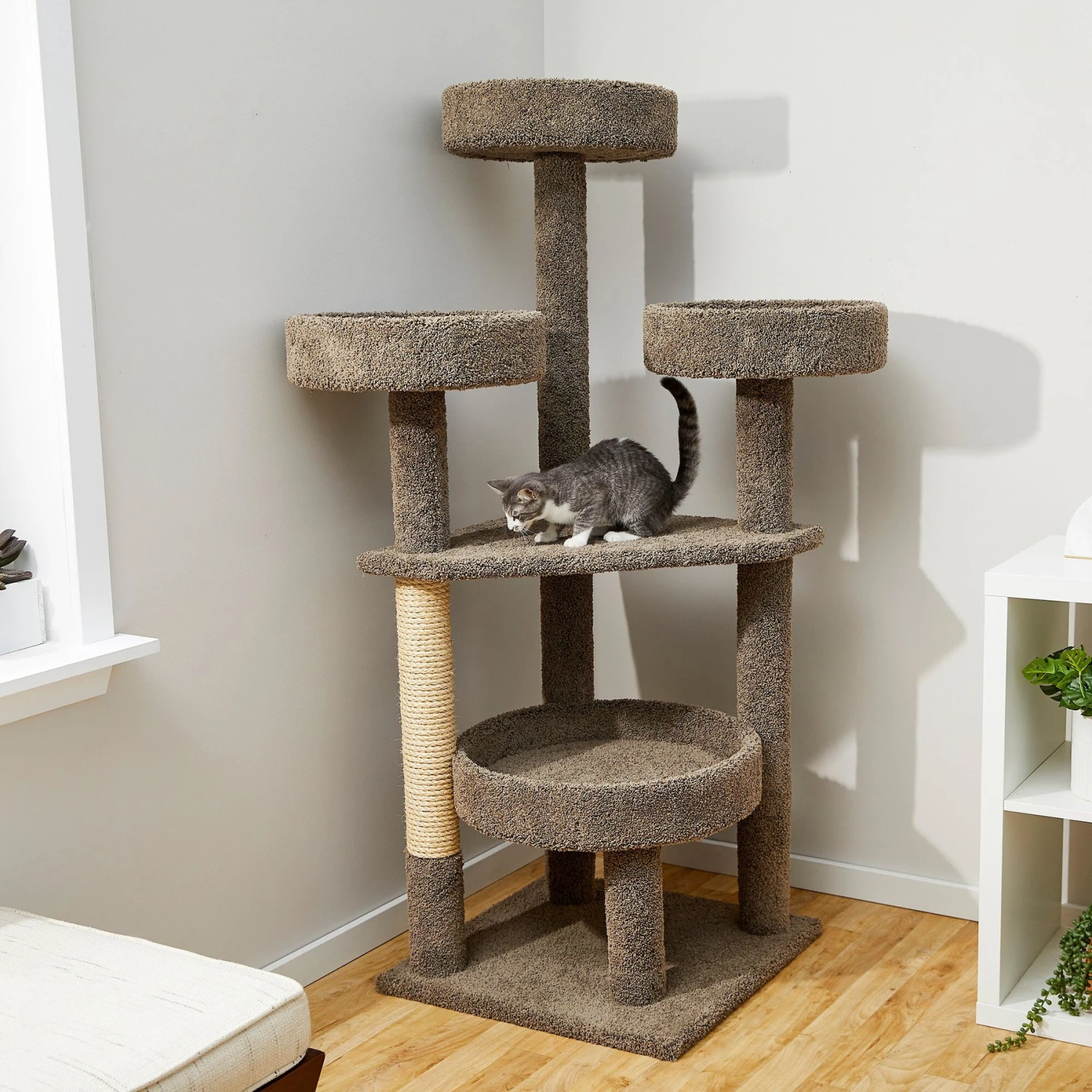 Frisco 65-in Real Carpet Scratch And Lounge Cat Tree 3 Frisco 65-in Real Carpet Scratch And Lounge Cat Tree