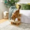 Frisco 20-in 3-Step Real Carpet Wooden Cat Steps -Pet Supplies Discount Store 208966 MAIN. AC SS1800 V1602682013