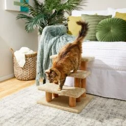 Frisco 20-in 3-Step Real Carpet Wooden Cat Steps