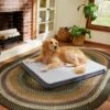 Frisco Cooling Orthopedic Pillow Dog Bed W/Removable Cover -Pet Supplies Discount Store 210223 MAIN. AC SS1800 V1590067616