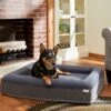 Frisco Orthopedic Rectangular Bolster Cat & Dog Bed W/Removable Cover -Pet Supplies Discount Store 210226 MAIN. AC SS1800 V1590067652