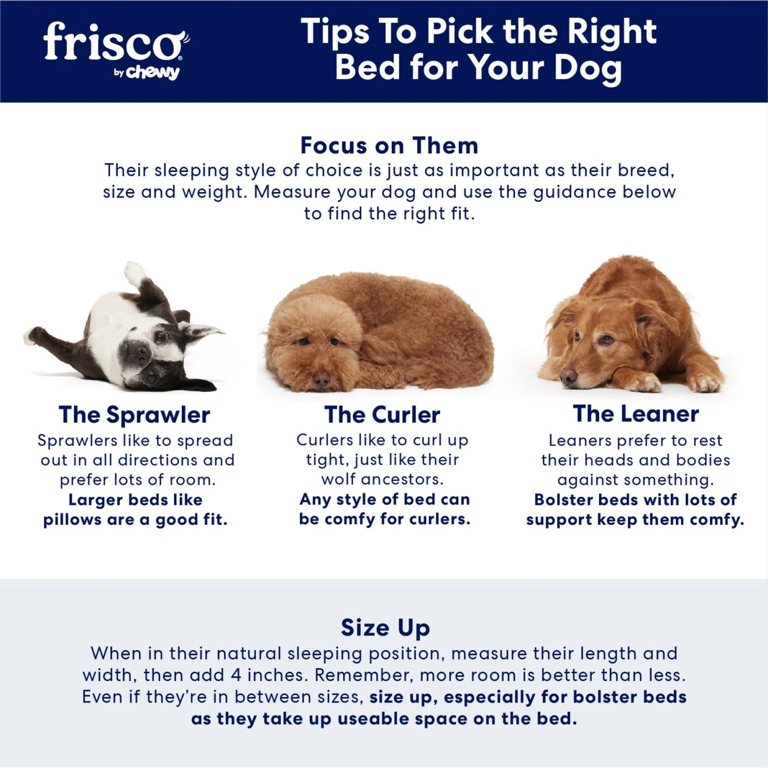 Frisco Eyelash Cat & Dog Bolster Bed 7 Frisco Eyelash Cat & Dog Bolster Bed - Image 5