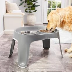 Frisco Elevated Dog Diner 9 Frisco Elevated Dog Diner -Pet Supplies Discount Store 213426 PT3. AC SS1800 V1583167385