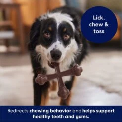 Frisco Bacon Flavor Tough Nylon Dog Chew Toy -Pet Supplies Discount Store 213430 PT5. AC SS1800 V1691783968