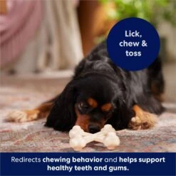 Frisco Chicken Flavor Tough Nylon Dog Chew Toy -Pet Supplies Discount Store 213432 PT5. AC SS1800 V1691784031