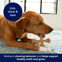 Frisco Peanut Butter Flavor Tough Nylon Dog Chew Toy -Pet Supplies Discount Store 213436 PT5. AC SS1800 V1692019972