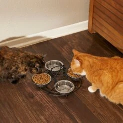 Frisco Multi Pet Feeding 4-Bowls Stainless Steel Dog & Cat Bowls, 0.5 Cup -Pet Supplies Discount Store 213787 PT6. AC SS1800 V1599091021