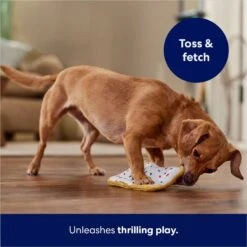 Frisco Frosted Pastry Stuffing-Free Flat Plush Squeaky Dog Toy -Pet Supplies Discount Store 213812 PT5. AC SS1800 V1686579088