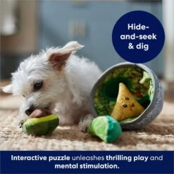 Frisco Guacamole Hide & Seek Puzzle Plush Squeaky Dog Toy -Pet Supplies Discount Store 213830 PT5. AC SS1800 V1695748356