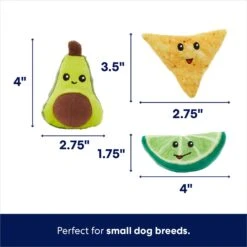 Frisco Guacamole Hide & Seek Puzzle Plush Squeaky Dog Toy Refills -Pet Supplies Discount Store 213832 PT1. AC SS1800 V1692989462