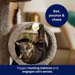 Frisco Plush Dangly Egg Buddy Cat Toy With Catnip 10 Frisco Plush Dangly Egg Buddy Cat Toy With Catnip -Pet Supplies Discount Store 213844 PT5. AC SS1800 V1691784029