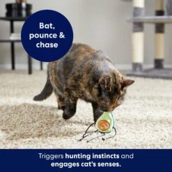 Frisco Dangly Avocado Buddy Plush Cat Toy With Catnip 10 Frisco Dangly Avocado Buddy Plush Cat Toy With Catnip -Pet Supplies Discount Store 213846 PT5. AC SS1800 V1691784029