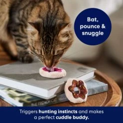 Frisco Donut Plush Cat Toy With Catnip -Pet Supplies Discount Store 213850 PT5. AC SS1800 V1692931851