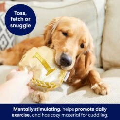 Frisco Gold Medal Round Plush Squeaky Dog Toy 9 Frisco Gold Medal Round Plush Squeaky Dog Toy -Pet Supplies Discount Store 214082 PT6. AC SS1800 V1679069984