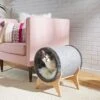Frisco Modern Tunnel Elevated Cat Bed -Pet Supplies Discount Store 214365 MAIN. AC SS1800 V1606832514