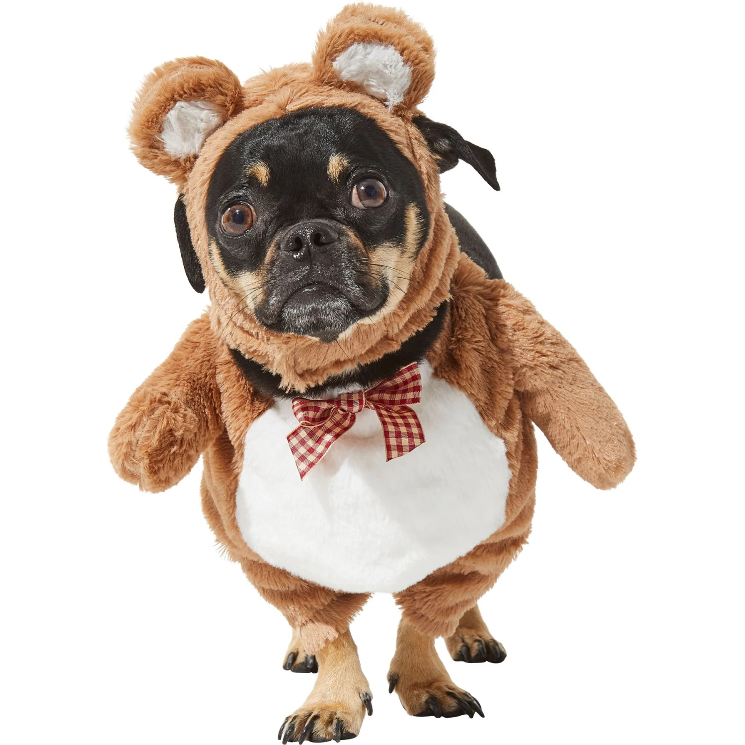Frisco Front Walking Teddy Bear Dog & Cat Costume 3 Frisco Front Walking Teddy Bear Dog & Cat Costume