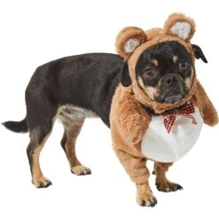 Frisco Front Walking Teddy Bear Dog & Cat Costume 13 Frisco Front Walking Teddy Bear Dog & Cat Costume -Pet Supplies Discount Store 215507 PT3. AC SS1800 V1624402415
