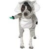 Frisco Front Walking Koala Dog & Cat Costume -Pet Supplies Discount Store 215546 MAIN. AC SS1800 V1595980873