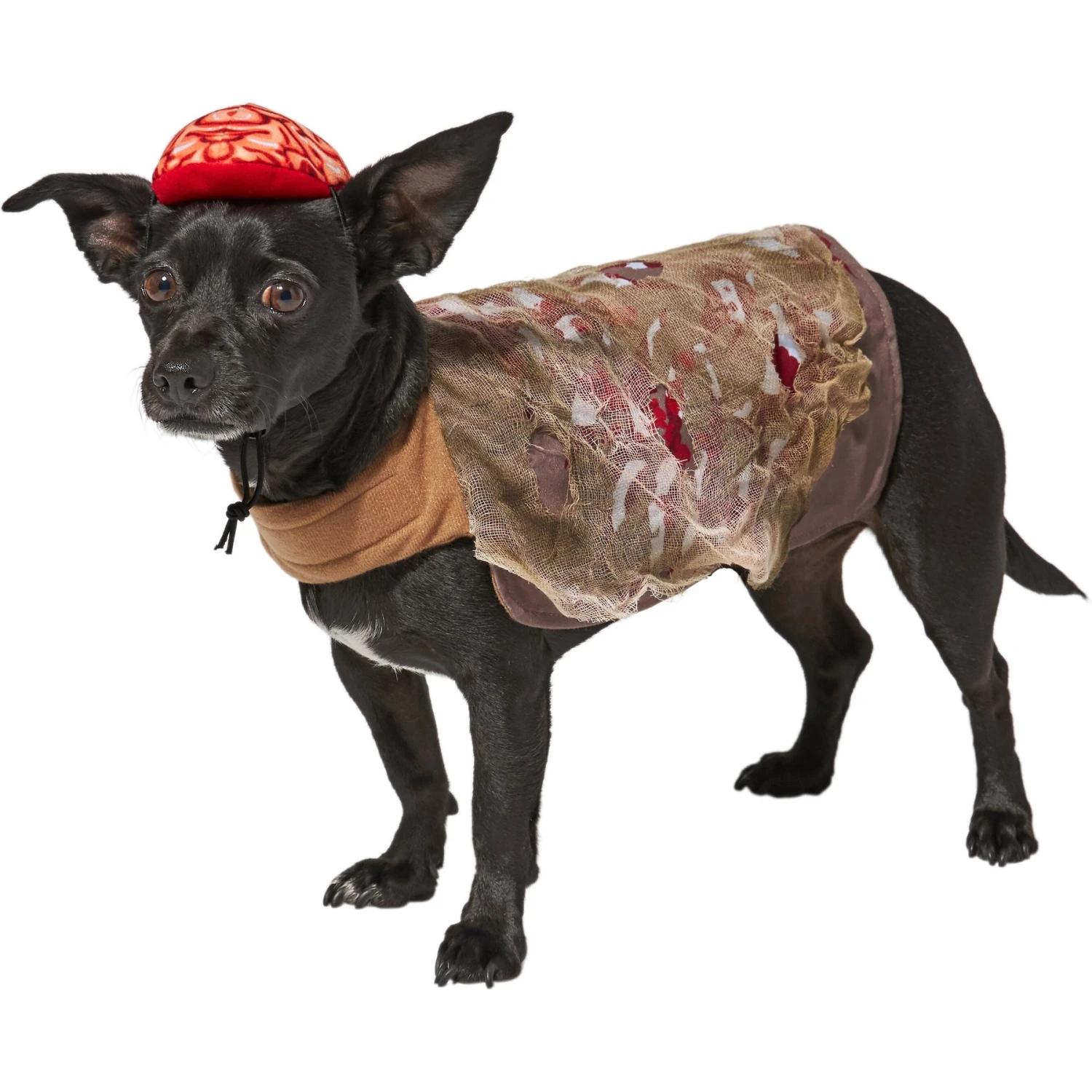 Frisco Zombie Dog & Cat Costume 3 Frisco Zombie Dog & Cat Costume