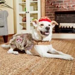 Frisco Zombie Dog & Cat Costume 13 Frisco Zombie Dog & Cat Costume -Pet Supplies Discount Store 215624 PT8. AC SS1800 V1599226580