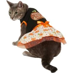 Frisco Pumpkin Patch Cutie Dog & Cat Dress 10 Frisco Pumpkin Patch Cutie Dog & Cat Dress -Pet Supplies Discount Store 215784 PT2. AC SS1800 V1632429076