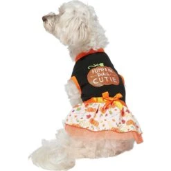 Frisco Pumpkin Patch Cutie Dog & Cat Dress 11 Frisco Pumpkin Patch Cutie Dog & Cat Dress -Pet Supplies Discount Store 215784 PT3. AC SS1800 V1632430875