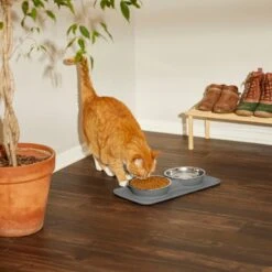 Frisco Heavy Duty Non-Skid Silicone Diner -Pet Supplies Discount Store 215979 PT7. AC SS1800 V1599090986