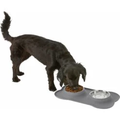 Frisco Silicone Stainless Steel Double Diner Dog & Cat Bowl -Pet Supplies Discount Store 215990 PT5. AC SS1800 V1605662218