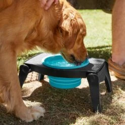 Frisco Elevated Collapsible Travel Bowl -Pet Supplies Discount Store 216013 PT7. AC SS1800 V1605653830