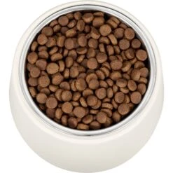 Frisco Slanted Stainless Steel Bowl -Pet Supplies Discount Store 216028 PT4. AC SS1800 V1591020437