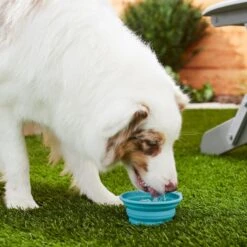 Frisco Silicone Collapsible Travel Bowl Set -Pet Supplies Discount Store 216033 PT7. AC SS1800 V1605661035