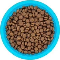 Frisco Plastic Suction Bowl, Blue 14 Frisco Plastic Suction Bowl, Blue -Pet Supplies Discount Store 216037 PT4. AC SS1800 V1591020655