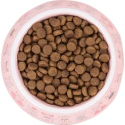 Frisco Pink Cute Cats Melamine Bowl -Pet Supplies Discount Store 216043 PT4. AC SS1800 V1591020694