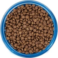 Frisco Chevron Design Glass Bowl With Silicone Sleeve 12 Frisco Chevron Design Glass Bowl With Silicone Sleeve -Pet Supplies Discount Store 216049 PT4. AC SS1800 V1591020735