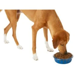 Frisco Chevron Design Glass Bowl With Silicone Sleeve 13 Frisco Chevron Design Glass Bowl With Silicone Sleeve -Pet Supplies Discount Store 216049 PT6. AC SS1800 V1605654757