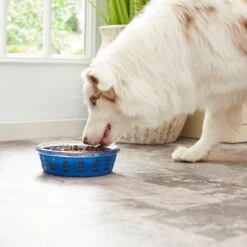 Frisco Chevron Design Glass Bowl With Silicone Sleeve 14 Frisco Chevron Design Glass Bowl With Silicone Sleeve -Pet Supplies Discount Store 216049 PT7. AC SS1800 V1605664319