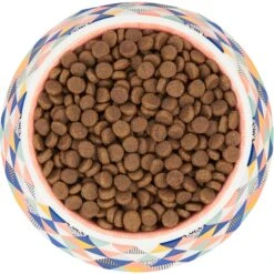 Frisco Colorful Geometric Melamine Bowl -Pet Supplies Discount Store 216054 PT4. AC SS1800 V1591020757