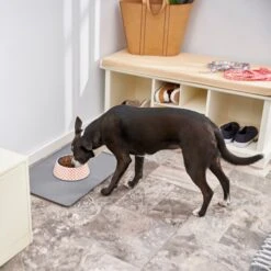 Frisco Southwest Melamine Bowl -Pet Supplies Discount Store 216064 PT7. AC SS1800 V1605653262