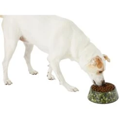 Frisco Camo Paint Splashed Melamine Bowl 14 Frisco Camo Paint Splashed Melamine Bowl -Pet Supplies Discount Store 216066 PT6. AC SS1800 V1605666935